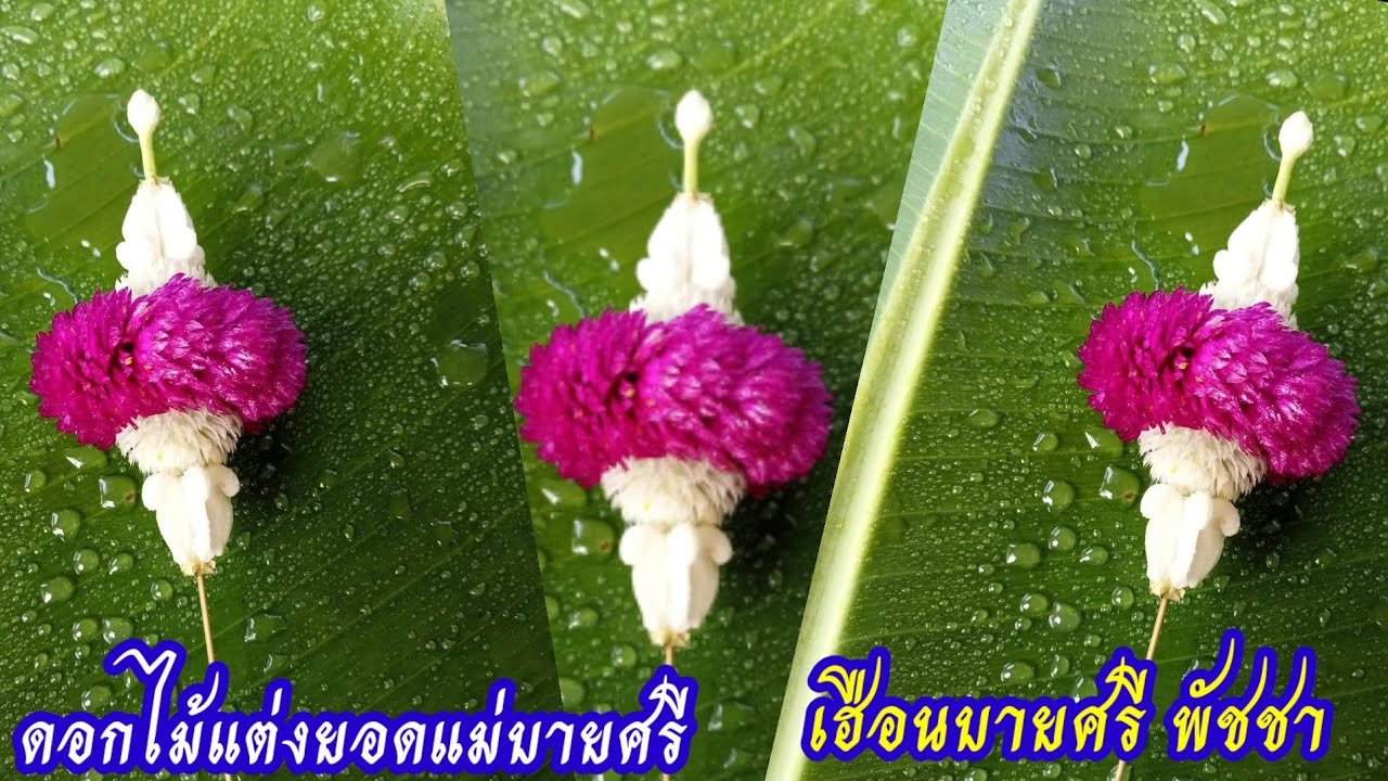 ดอกไม้เเต่งยอดเเม่บายศรี