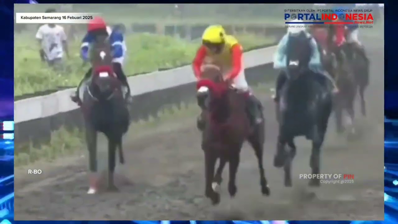 Kronologi Dua Kuda Pacu Saling Bertabrakan di Ajang Derby Jateng 2025, Milord Tewas di Lintasan