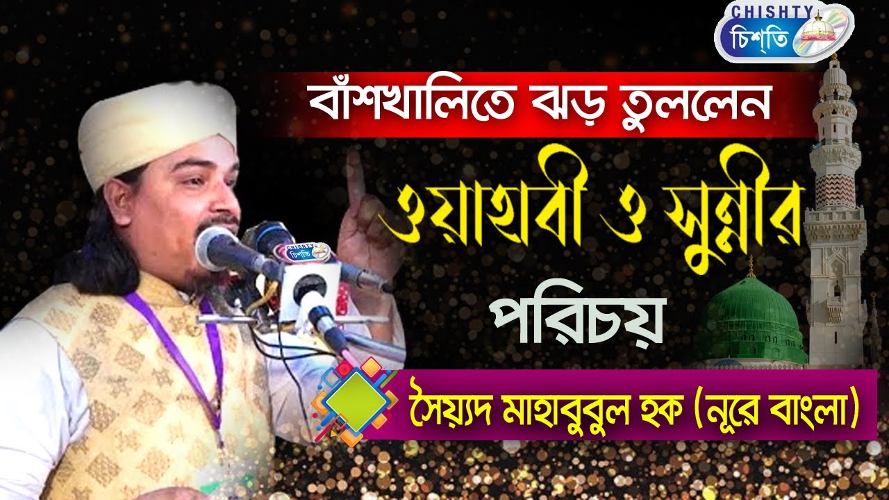 বাশঁখালীতে ঝড় তুল্লেন | সৈয়য়দ মাহবুবুল হক নুরে বাংলা | Bangla Waz Mahfil 2020