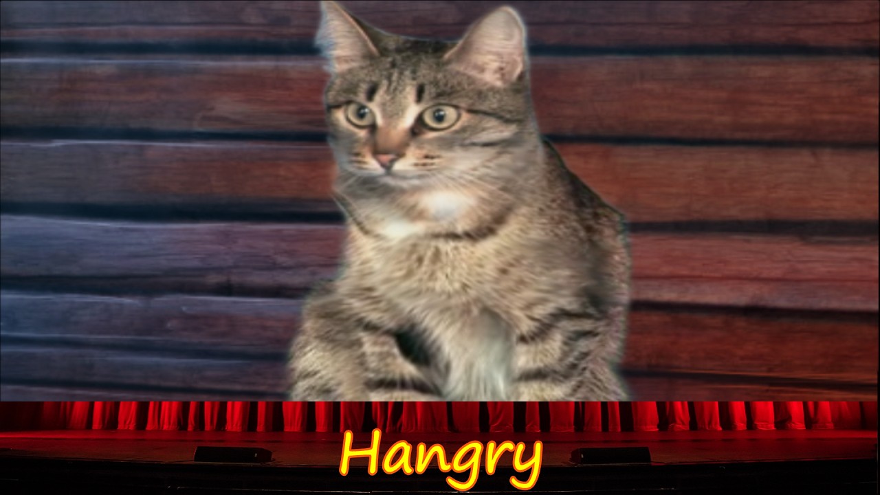 Whispered Secrets Into The Beyond CE #8 Hangry