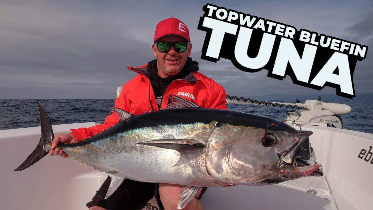 Victorian Topwater Bluefin Tuna