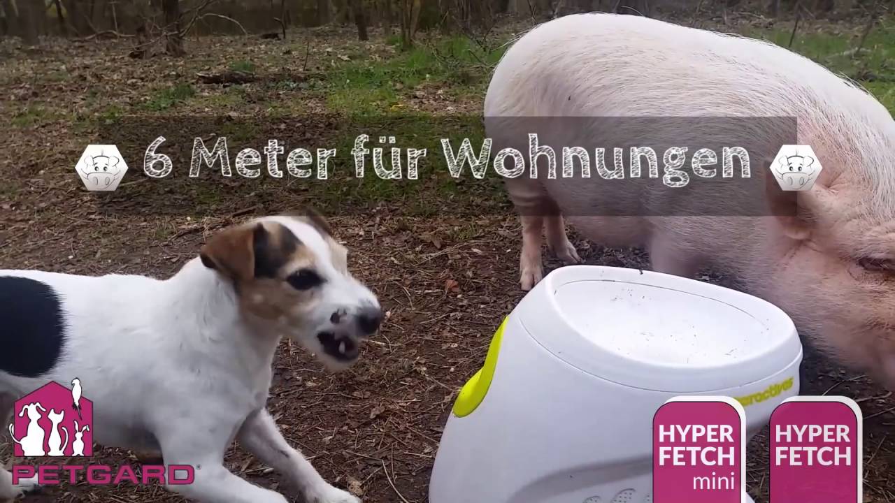 Hyper Fetch Ballwurfmaschine