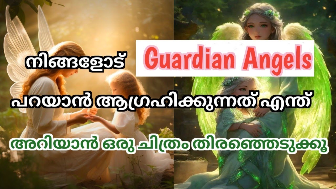 നിങ്ങളുടെ Guardian Angel നിങ്ങളോട് എന്താണ് പറയാൻ ശ്രമിക്കുന്നത്!Angel messages!Pile Reading 🧚🌈🧚
