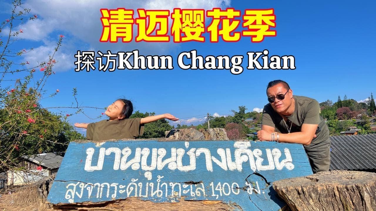 清邁櫻花季——探訪 Khun Chang Kian | Chiang Mai Cherry Blossom 2026