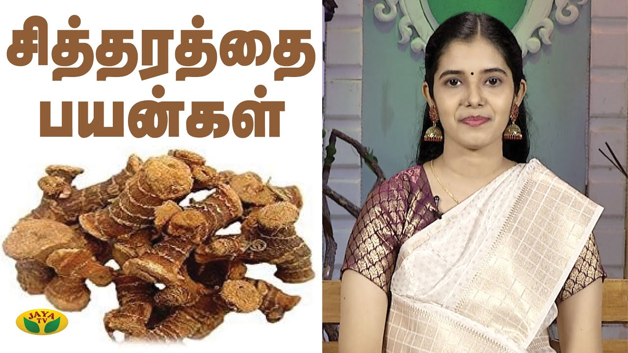 Health Benefits of Chitharathai | Nutrition Diary | Adupangarai | Jaya TV