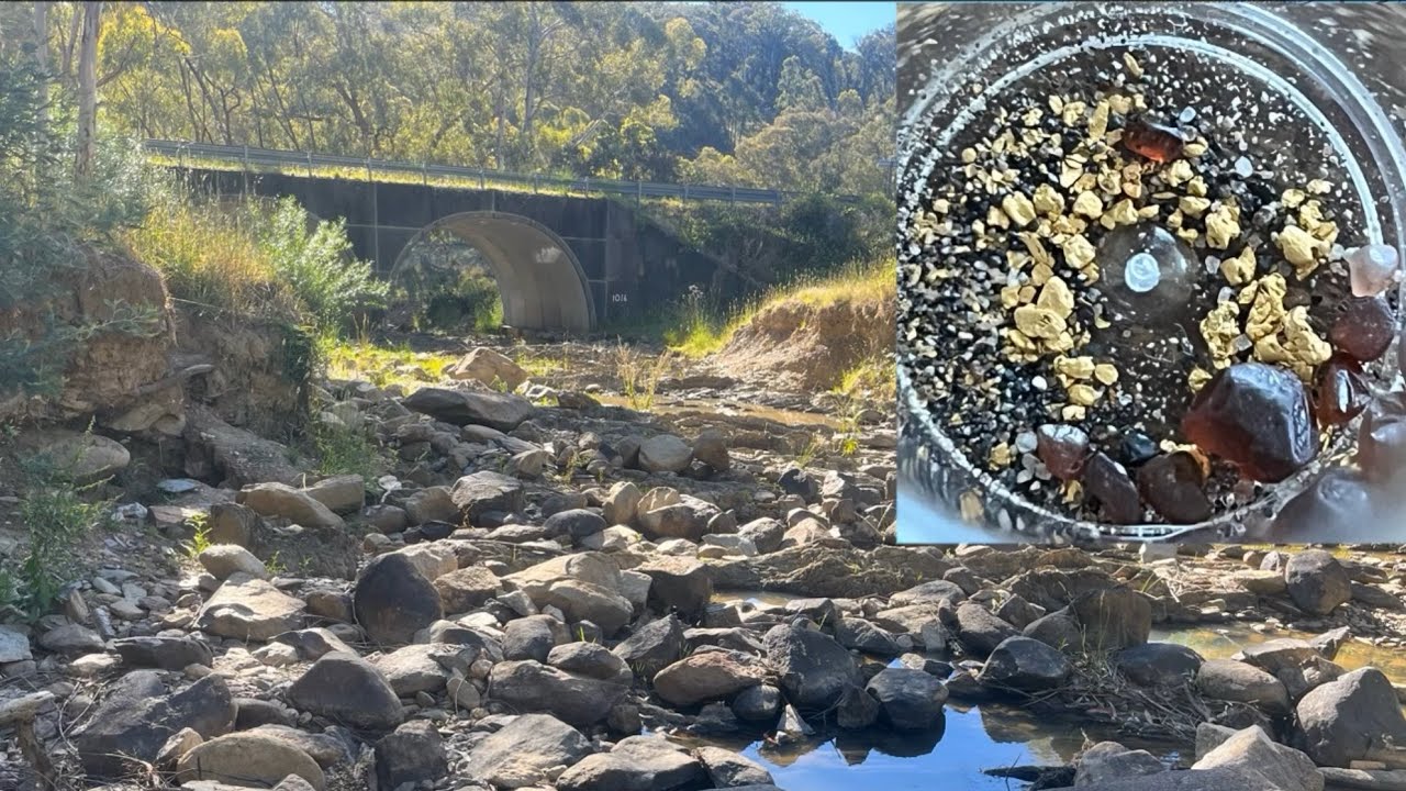 Gold in Trunkey Creek? Let’s go! 