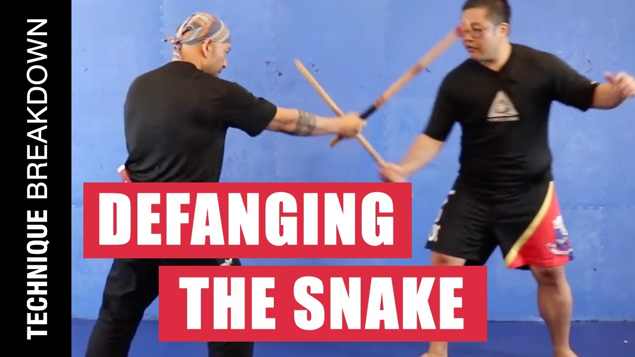 What is Defanging the Snake? | Filipino Martial Arts | Technique Breakdown EP 01