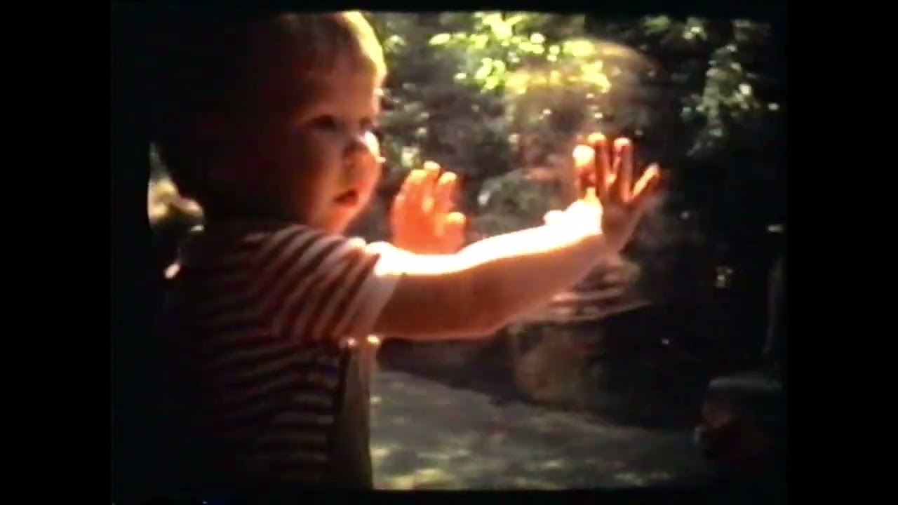 N4 Van 1978 1980 23 1 2026