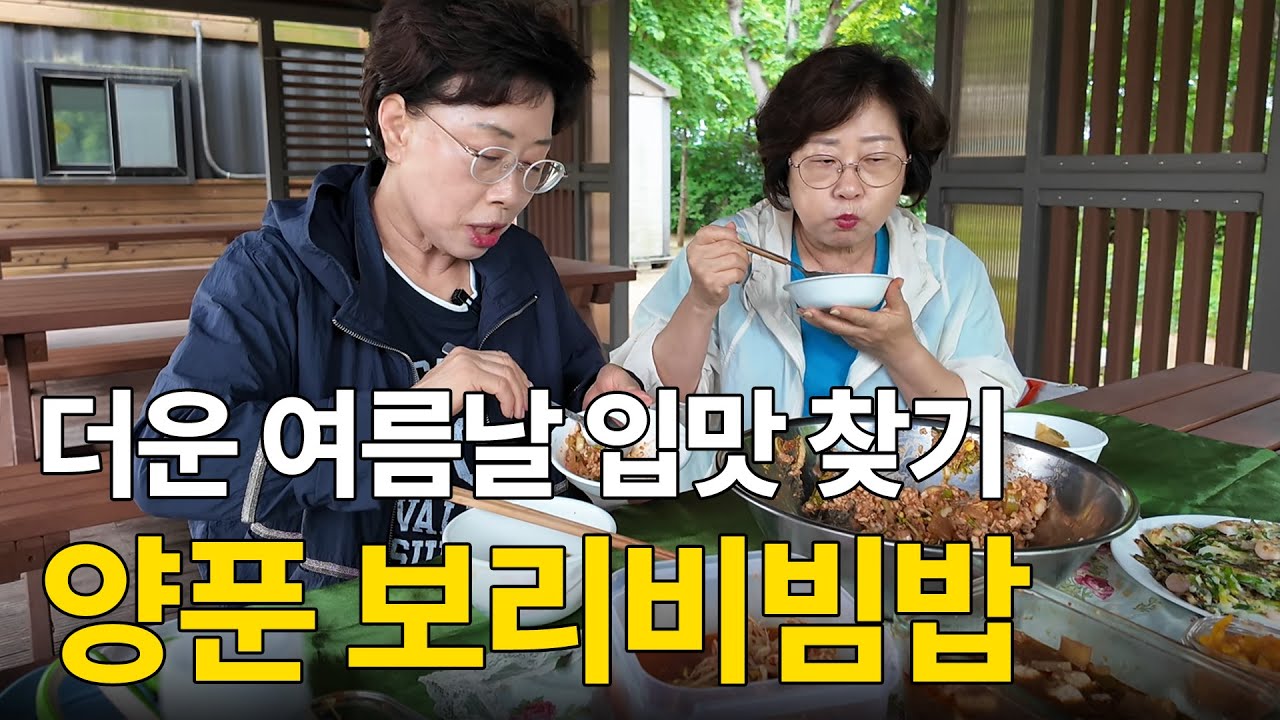 세계 평화의 숲에가서 평화롭게(?) 양푼 보리비빔밥 야외 먹방🌿