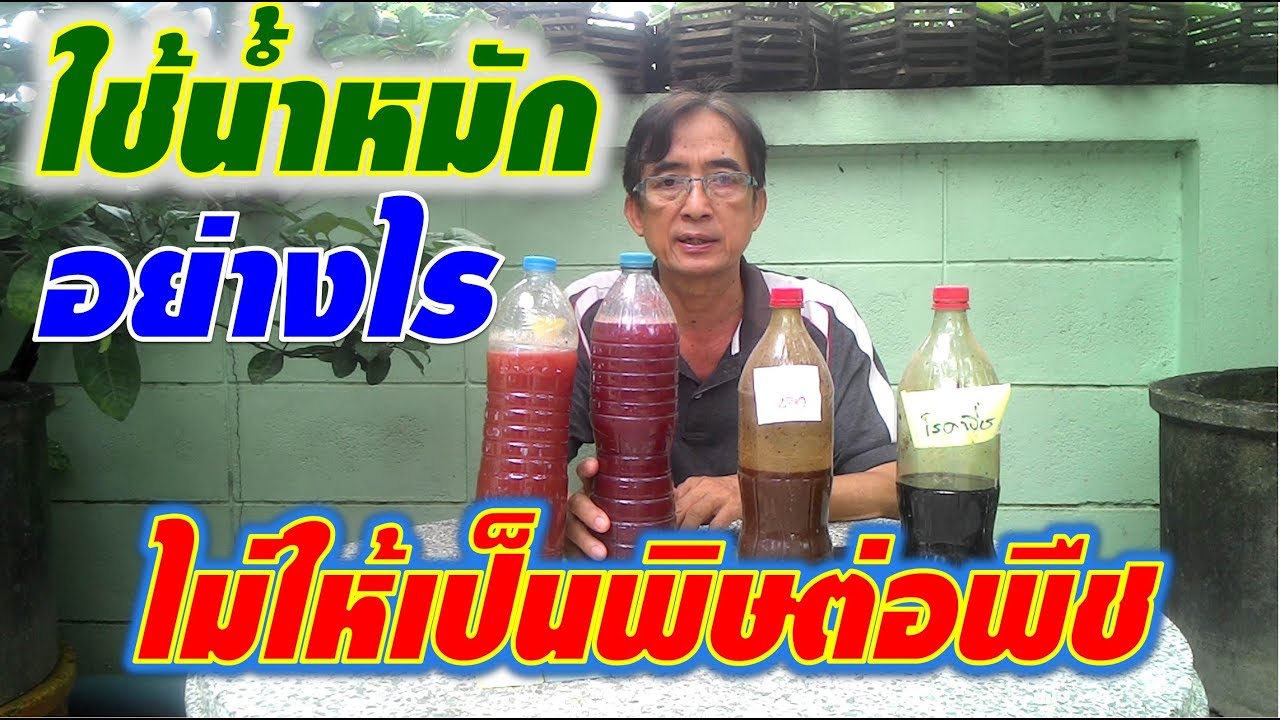 ใช้น้ำหมักอย่างไร ให้ได้ประโยชน์ และไม่เป็นพิษต่อพืช I เกษตรปลอดสารพิษ