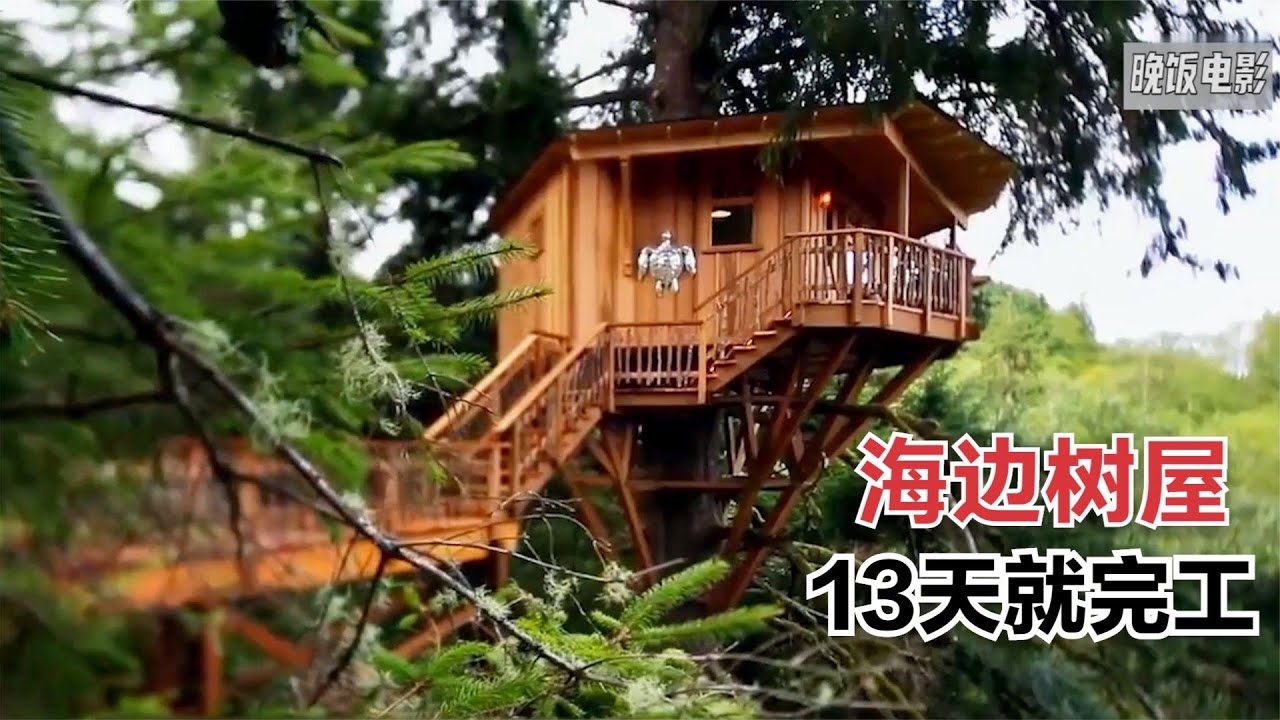在海邊大樹上造樹屋，13天就完成一套，女孩看了都不想走