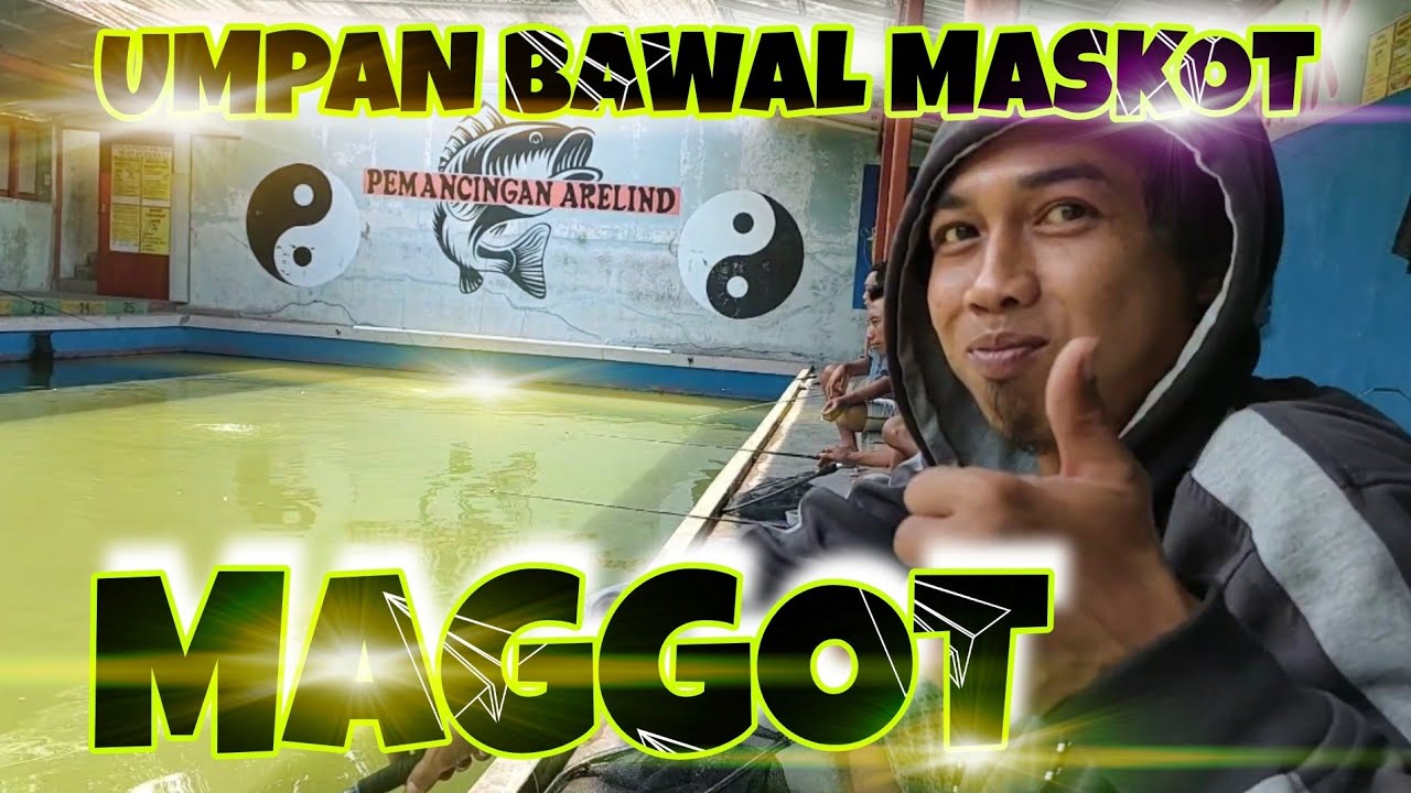 UMPAN BAWAL MASKOT MAGGOT