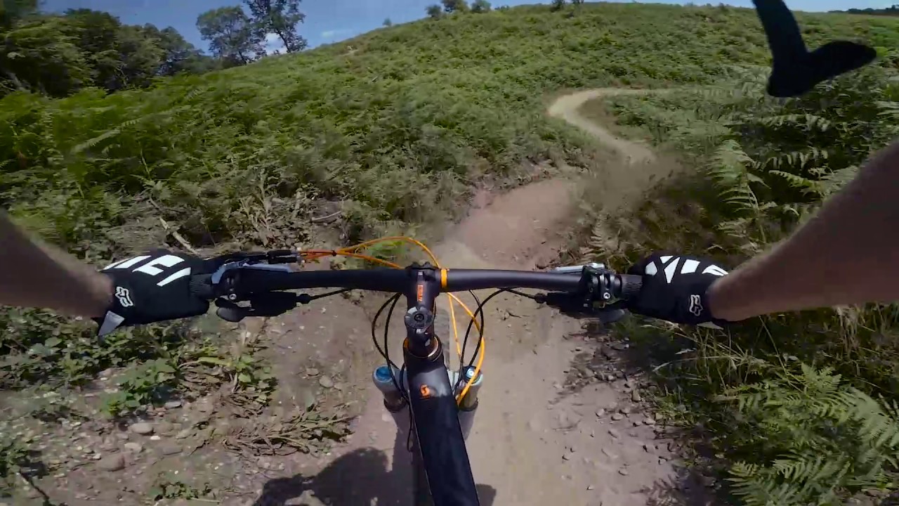 MONKEY TRAIL-CANNOCK WITH TOM, DICK & HARRY