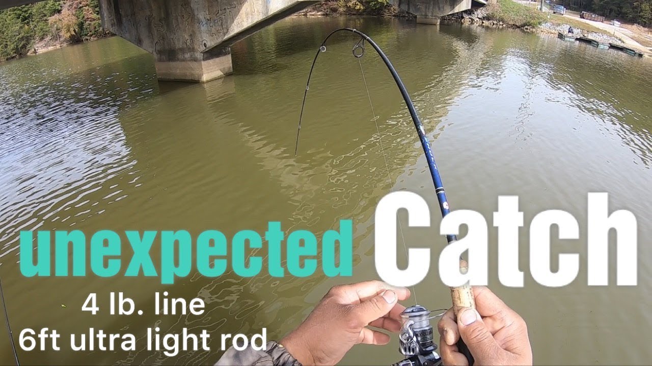**Unexpected Catch** While Crappie Fishing