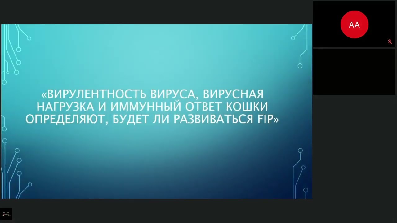 1.Коронавирус и инфекционный перитонит кошек. 2.Трансмиссивные заболевания у домашних животных.