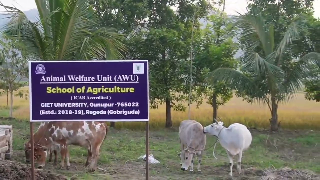 Animal Welfare Unit Inaugurated at School of Agriculture Farm, GIET University, Odisha