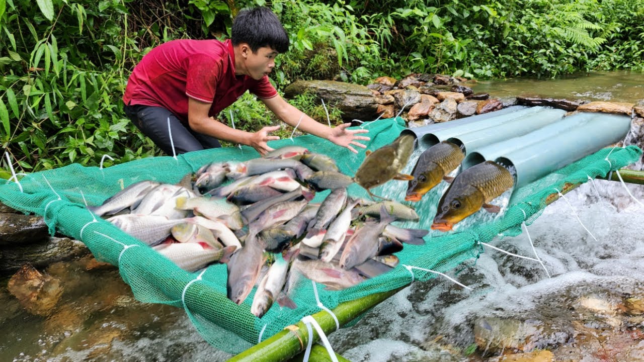 Full video 32 days The boy skillfully made many types of fish traps to catch fish in the stream.