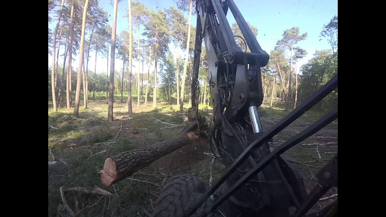 Forest Story- kładę gruby zrąb.