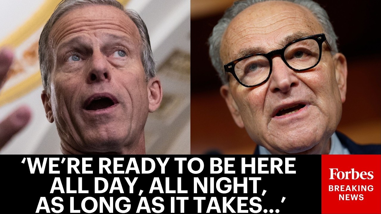 BREAKING: Chuck Schumer Vows To Fight SAVE Act Which He Dubs 'Voter Suppression Bill'