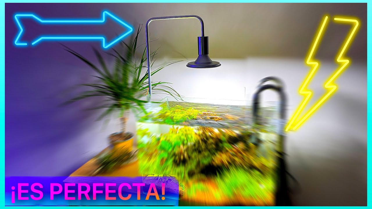Esta ILUMINACION solo cuesta 20€/23$  y nos ha ENCANTADO / ACUARIO PLANTADO LOW COST