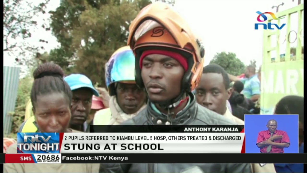 Swarm of bees attack 177 pupils at Kanyariri Primary School in Kiambu