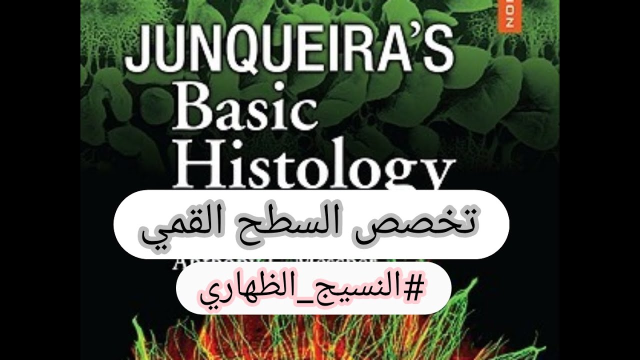 تخصص السطح القمي للخلايا الظهارية