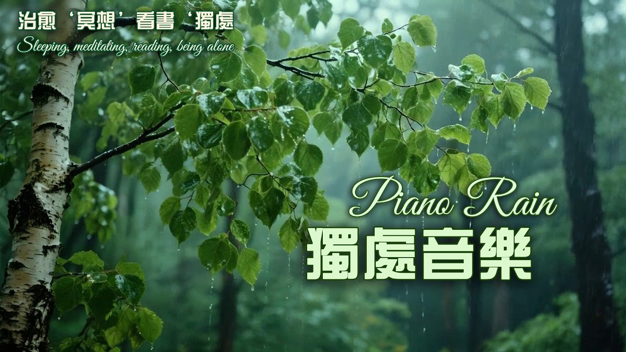 今天只想關掉一切 聽雨療癒自己｜沉浸式雨聲+鋼琴 1小時｜放空・寧靜・擁抱孤獨的美好 #music #relaxing #放松 #冥想 #睡眠 #轻音乐