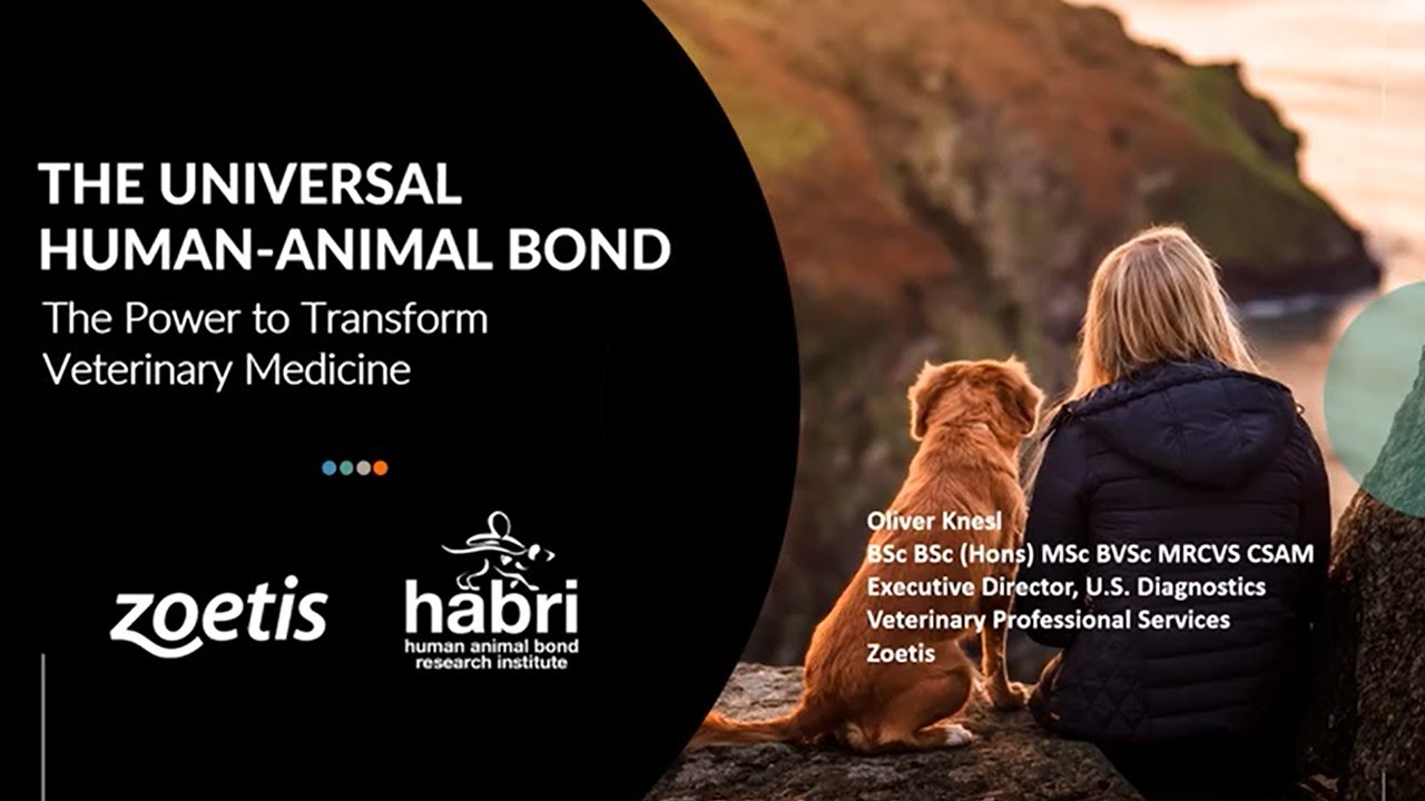 The Universal Human Animal Bond: The Power to Transform Veterinary Medicine