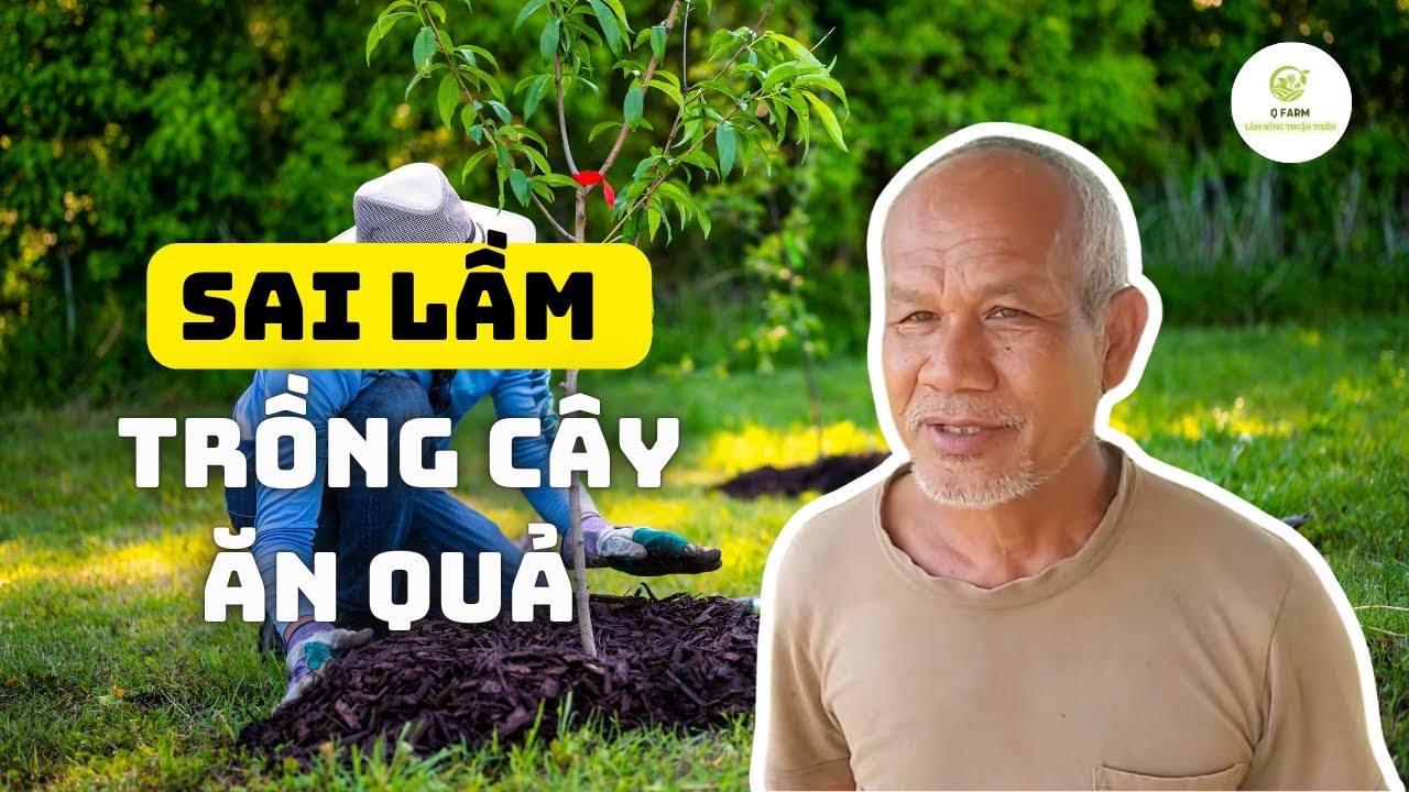 🌱 Các Sai Lầm Trồng Cây Khi Về Vườn: Bài Học Thực Tế Từ Jon Jandai