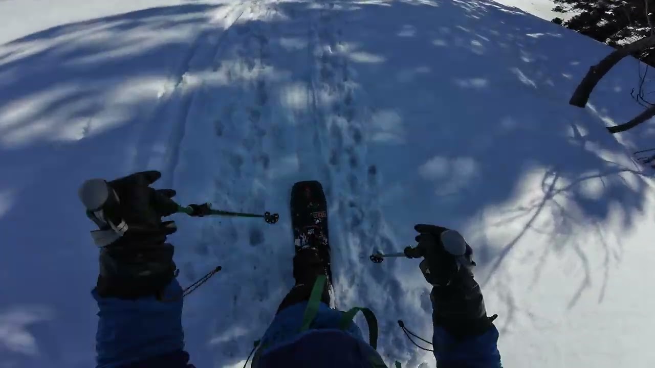 2026.02.21 (Day26) 鍋倉山 巨木の谷北斜面 - Bottom