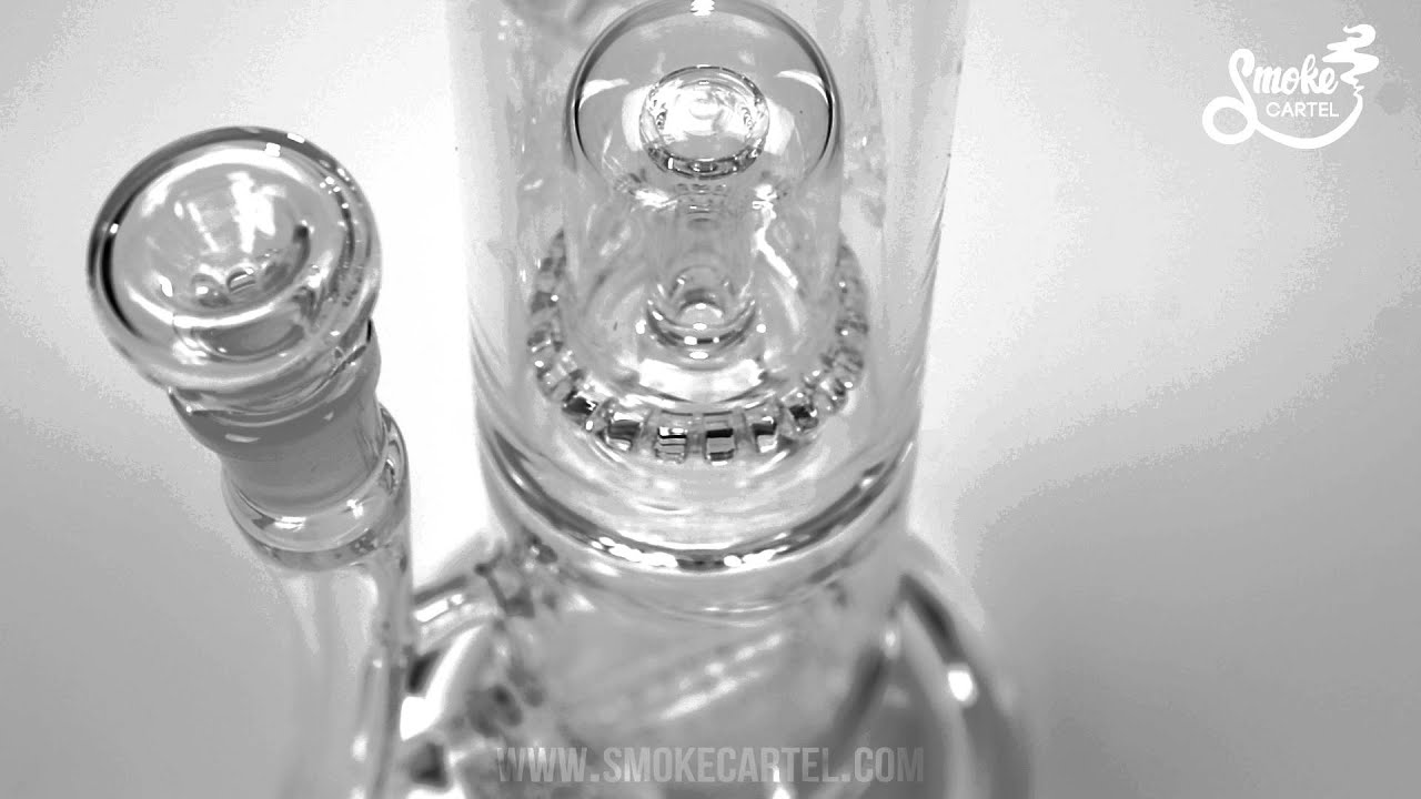 Burner Glassworks Inline to Domed Circ Perc Fat Can with Bent Neck