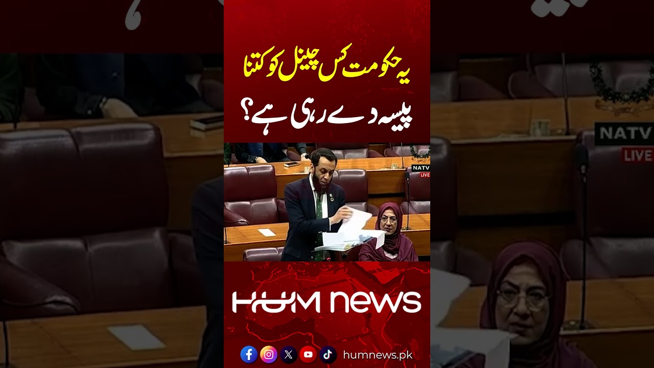 Ali Muhammad Khan Questions Atta Tarar in Assembly Over Media Funding | Hum News | Pakistan