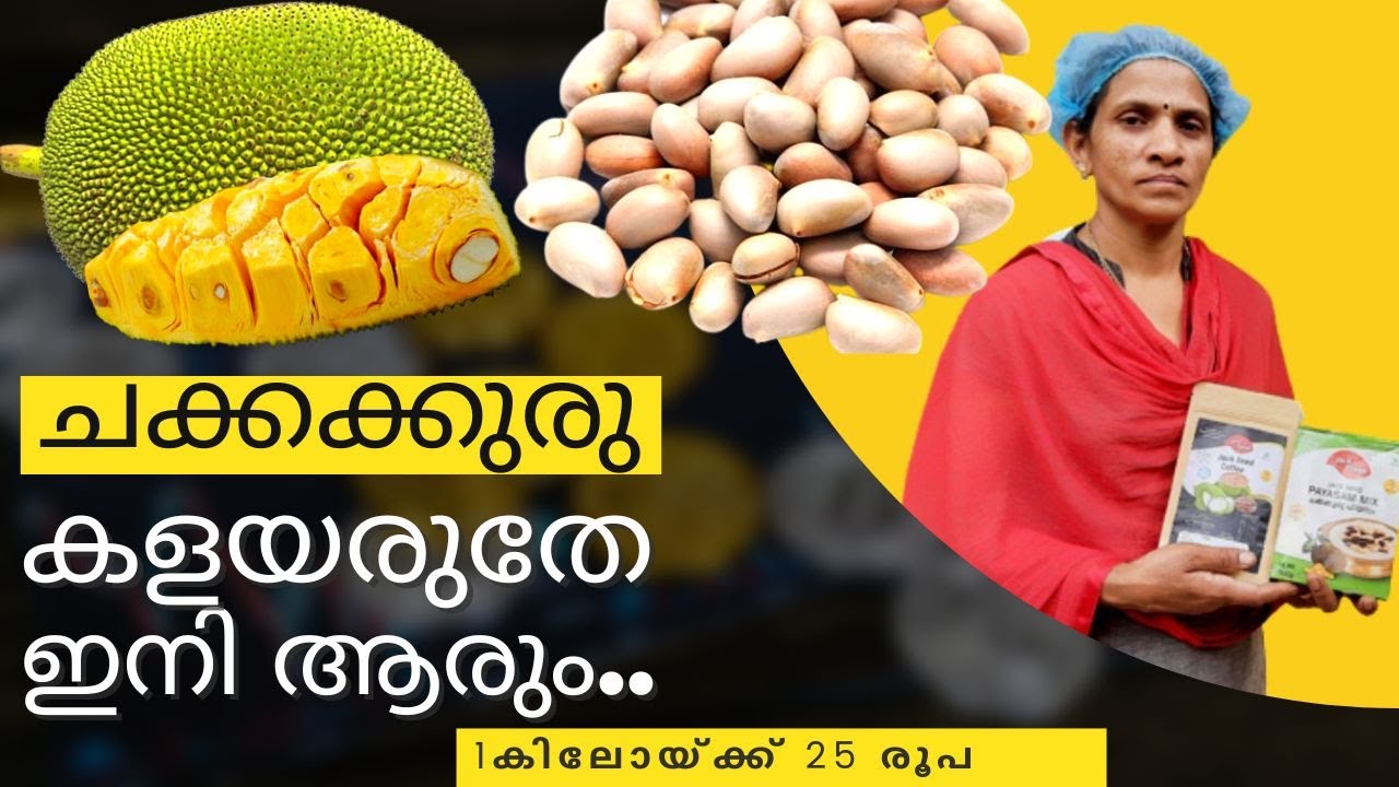 First jackfruit seed processing unit in india | Jack Seeds | Jack Fresh | Jack Fruit Seed ...
