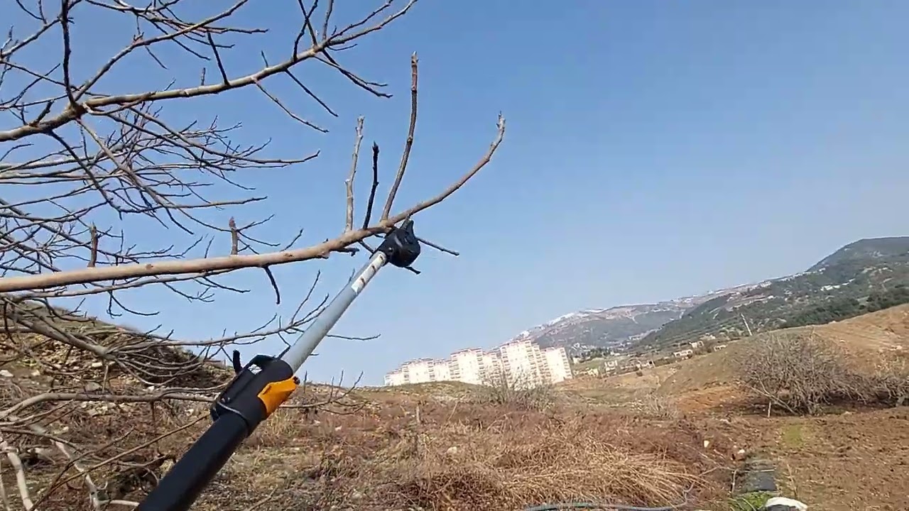 uzun dal budama makası ?  oyuncağımız geldi ilk deneme kesimi Fiskars up 86 orjinal ürün. #fiskars
