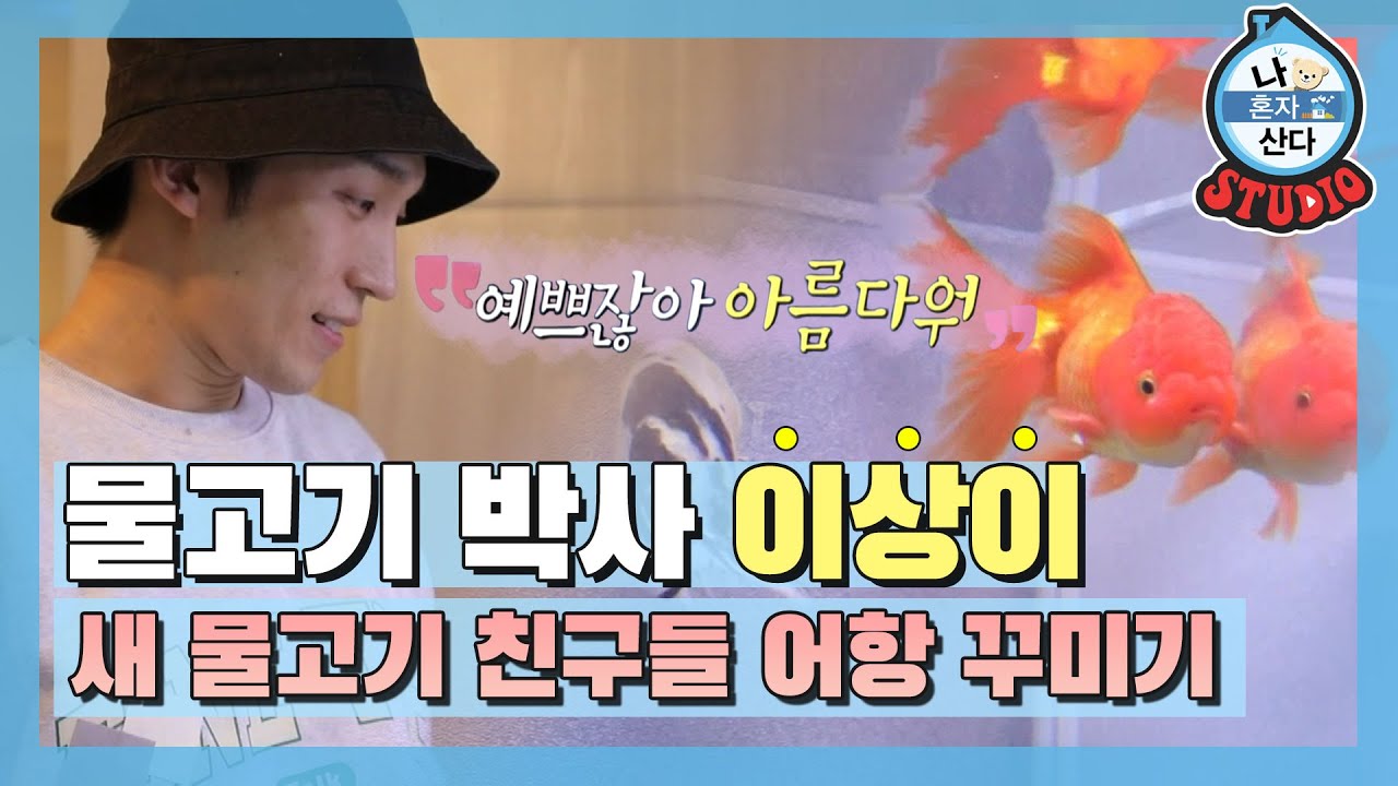 [나혼산 다시보기]어심까지 사로잡기 완료! 물고기 한정 스윗남 이상이의 New 어항 꾸미기🐠 MBC201009방송
