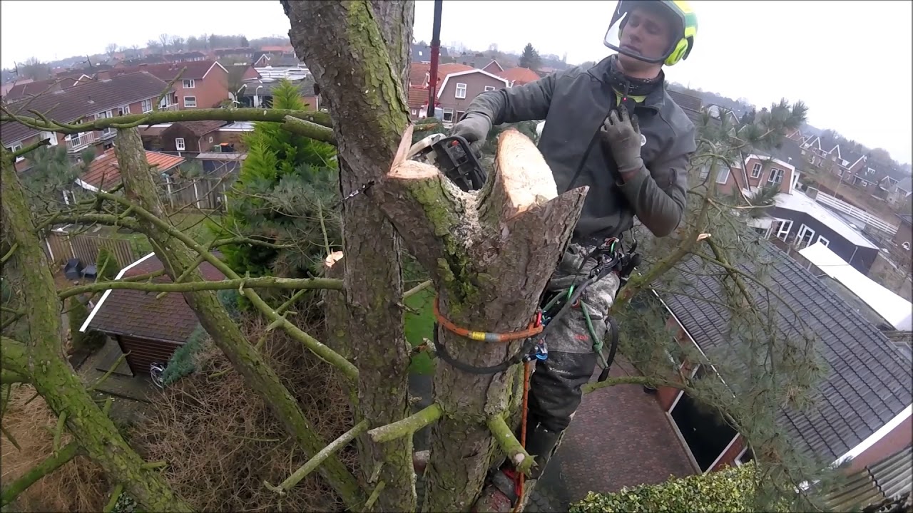 Crane job