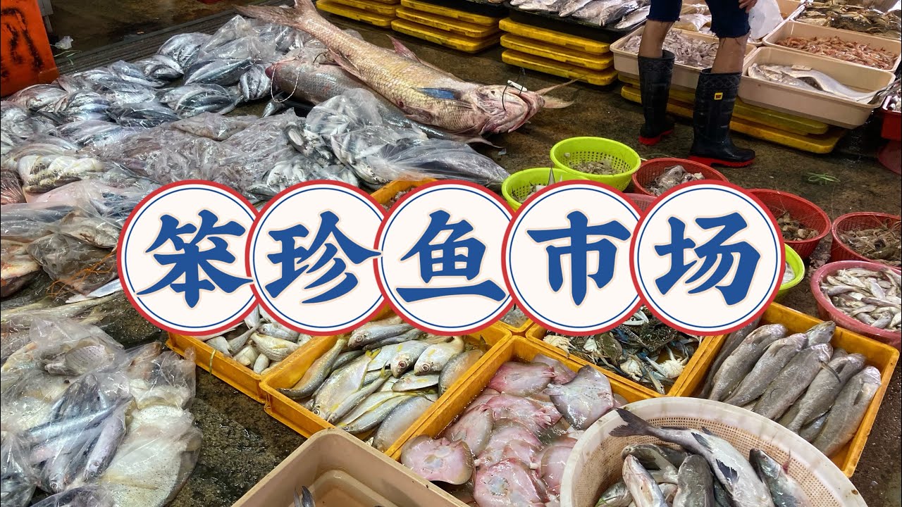 Malaysia马来西亚旅游/柔佛州笨珍鱼市场/pontian Fish market/鲜甜的鱼虾海鲜/魔鬼鱼/笨鲨/鲳鱼/带鱼/马鲛鱼/巴当/鲈鱼/西刀鱼等等/新鲜实惠，赞赞赞😁🤩