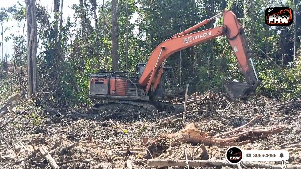 Excavator Forest Clearing ASMR | Relaxing Heavy Equipment Sounds in Nature