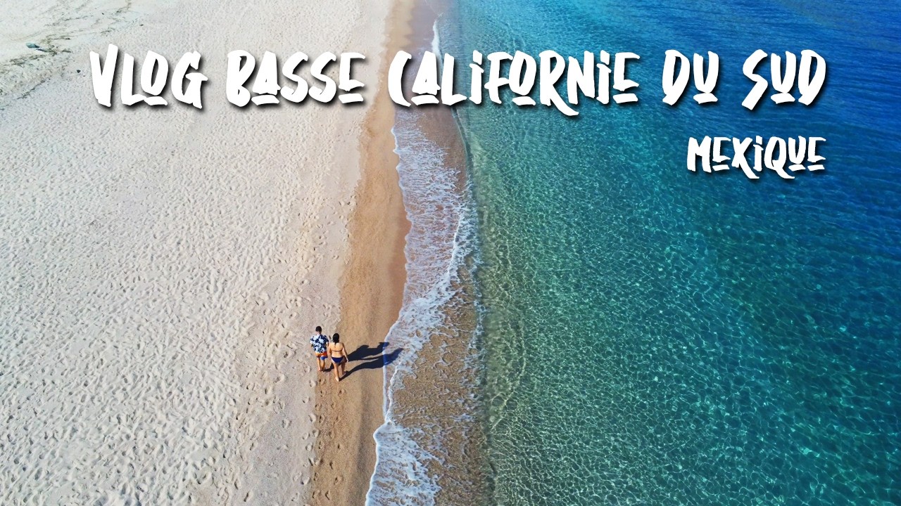 Vlog MEXIQUE : Basse-Californie du Sud