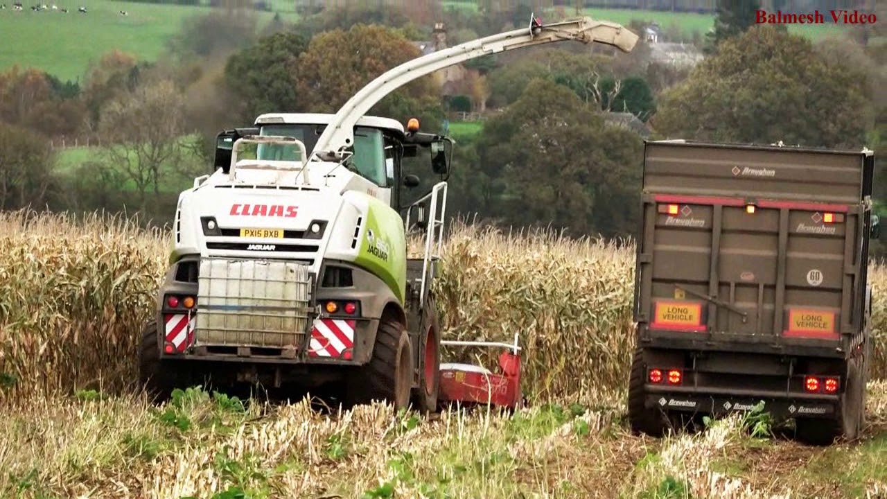 Maize Harvest with the Brougham Tri-Axle,