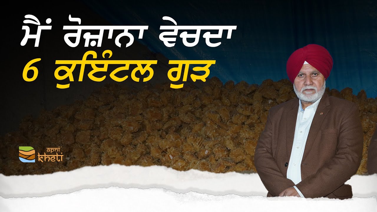 ਗੁੜ ਵਿੱਚ ਮਿਲਾਵਟ ਸਾਬਿਤ ਕਰਨ ਤੇ 5100 ਇਨਾਮ। Jaggery/Gur Making Production Unit I Jhajj Punjabi Velna