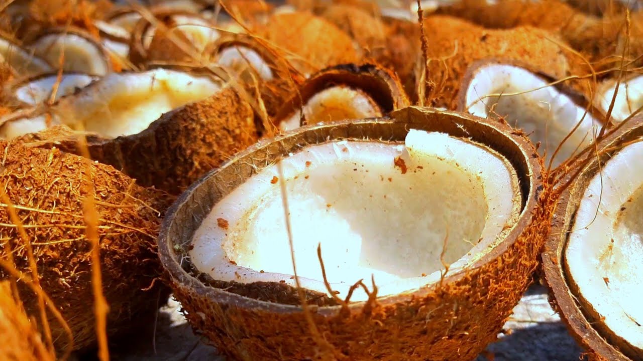 How to Make Pure Coconut Oil தூய தேங்காய் எண்ணெய் எவ்வாறு தயாரித்தல், விஸ்வமடுவில்
