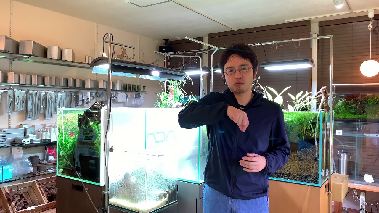 ミスト式で立ち上げるメリット・デメリット　How to dry start method〜The making of aquarium アクアリウム立ち上げ水草水槽ノウハウ