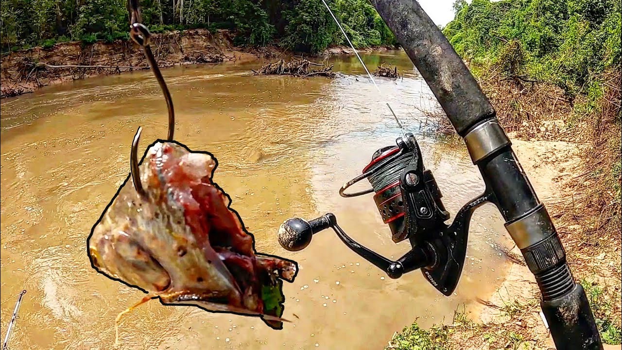 I Can't Believe This Honey Hole Is Still A Secret!!! (MONSTERS HERE!)