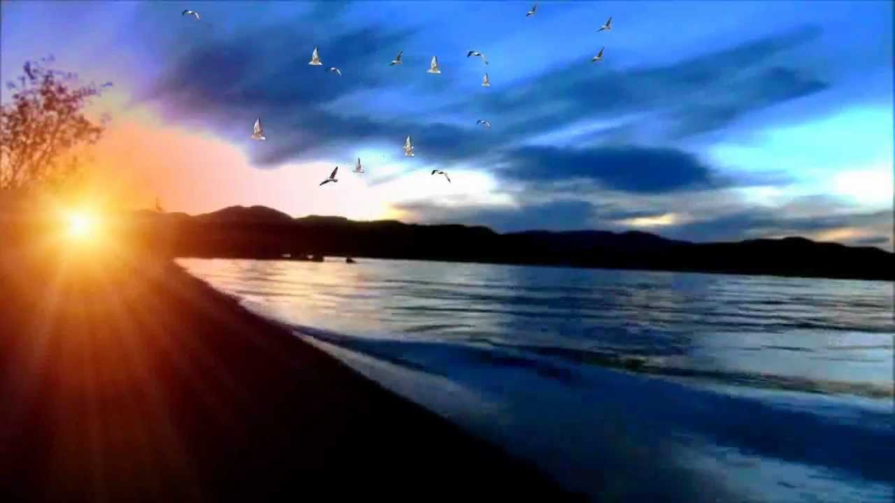 &Tau;&rho;&epsilon;&iota;&sigmaf; &Zeta;&omega;έ&sigmaf; - &Mu;&iota;&chi;ά&lambda;&eta;&sigmaf; &Chi;&alpha;&tau;&zeta;&eta;&gamma;&iota;ά&nu;&nu;&eta;&sigmaf; (2011-2012) NEW HD - TREIS ZWES