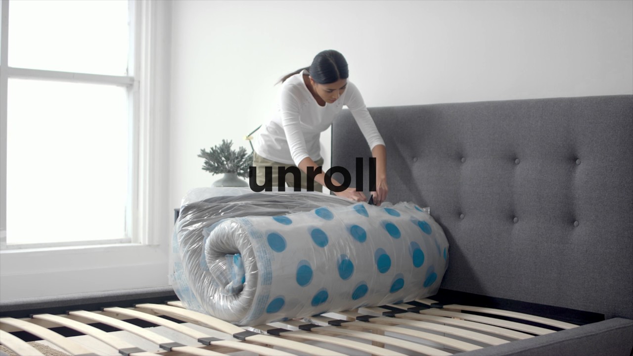 Introducing Luna By Sears