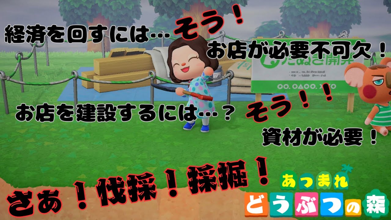 【あつまれ どうぶつの森】Level６