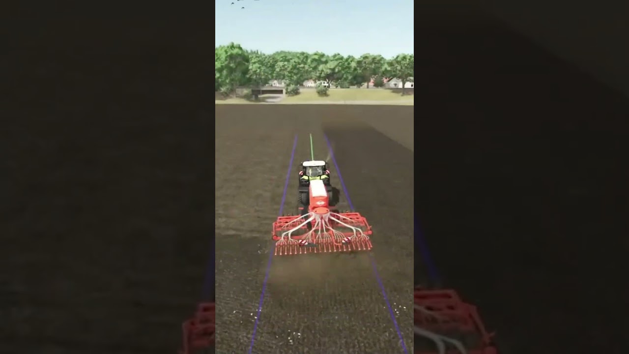 Rapsanbau im Landwirtschaft Simulator 25. 