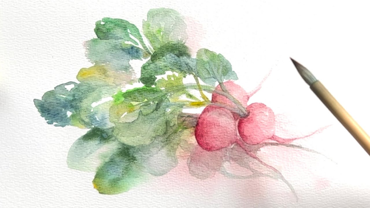 [水彩画]ラディッシュを描く/watercolorpainting /制作過程