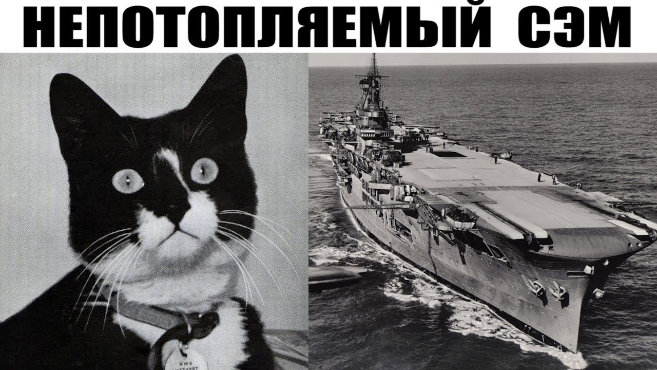 Кот Переживший Три Кораблекрушения / Непотопляемый Сэм